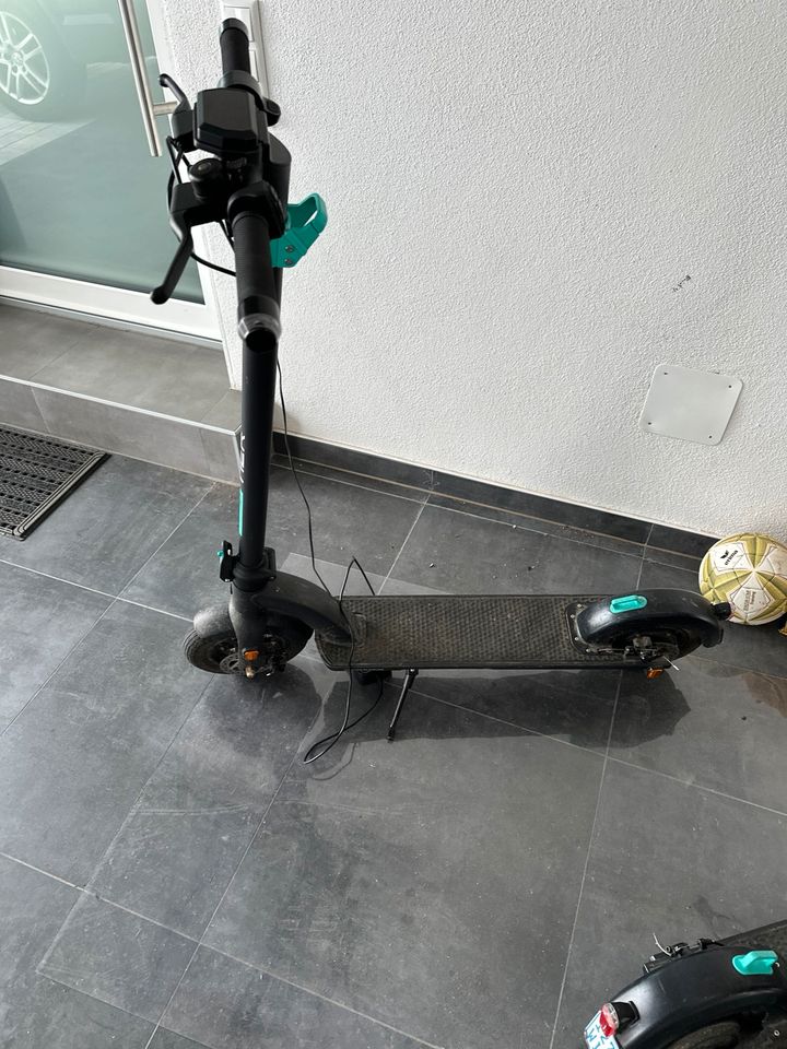 E. Scooter my Tier in Oettingen in Bayern