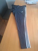 Adidas Trainingshose 38 Nordrhein-Westfalen - Paderborn Vorschau