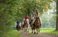 Reiten in Reken: Erwachsene, Anfänger, Ausritte, Kinder Nordrhein-Westfalen - Reken Vorschau