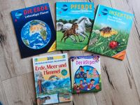 Galileo Bücher, Wissen für Kinder Pferde, Insekten, Erde, Körper Brandenburg - Trebbin Vorschau