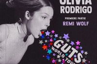 ⚠️SUCHE!⚠️ Olivia Rodrigo Guts Konzert ⚠️HAMBURG⚠️ Golden Circle Hamburg-Mitte - Hamburg Wilhelmsburg Vorschau