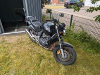Honda CBF 600 ABS Motorrad Niedersachsen - Harsefeld Vorschau