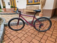 Cicli B Mountain Bike 26er Alu Niedersachsen - Gittelde Vorschau