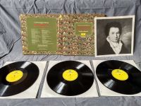 Schallplattensammlung - u. A. Raritäten, Beethoven, Brahms,Mahler Bayern - Erlangen Vorschau