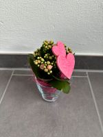 Blühpflanze Kalanchoe Zimmerpflanze m. Tasse Becher Deko Geschenk Niedersachsen - Osnabrück Vorschau