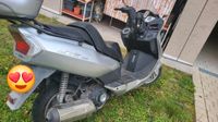 Motorrad Daelim 125 Baden-Württemberg - Kehl Vorschau