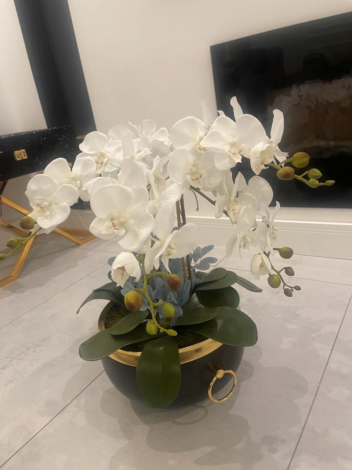 Künstliche Orchidee in Köln