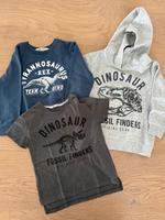 Dino-Set zwei Pullis und ein T-Shirt 110/116 Frankfurt am Main - Sachsenhausen Vorschau
