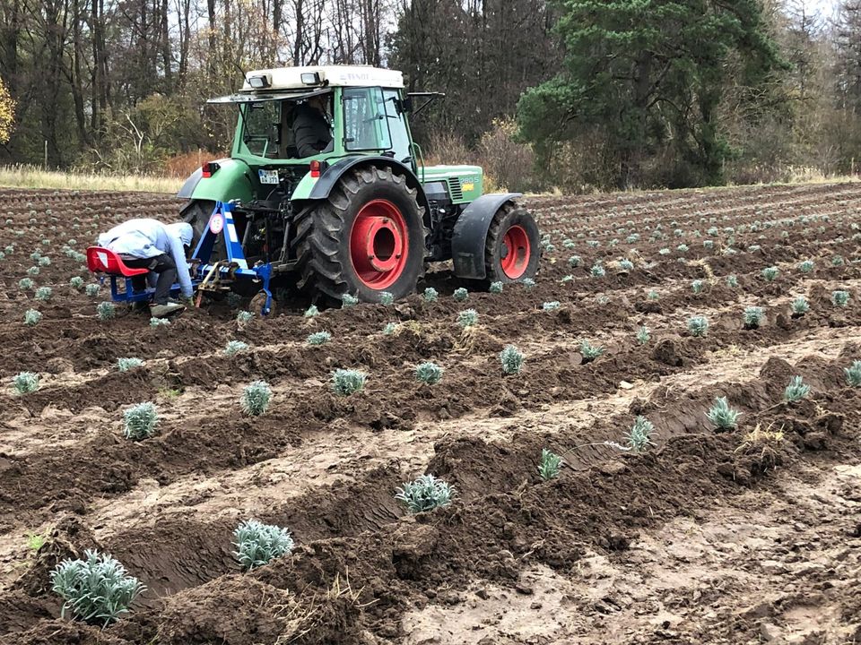 Pflanzmaschine mit verbreiterter Schar in Prenzlau