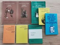 Schulbücher, GOETHE, LESSING, PLENZDORF, MOLIERE Dresden - Räcknitz/Zschertnitz Vorschau