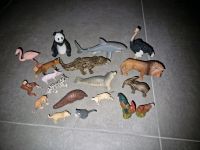 SCHLEICH  TierSet verschiedene Tiere, 12 Stück Nordrhein-Westfalen - Rheine Vorschau