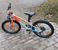 Mountainbike Kinder 20 zoll cube Brandenburg - Herzfelde Vorschau