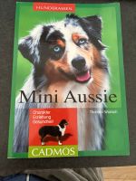 Buch Mini Aussie Cadmos/ Hunde Buch Rheinland-Pfalz - Dahn Vorschau