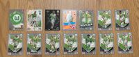 MATCH ATTAX VFL WOLFSBURG Bayern - Straubing Vorschau