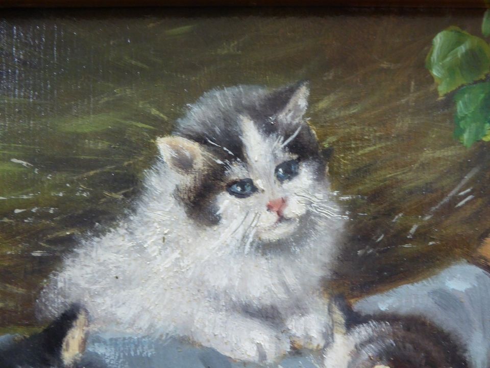 W. BANDONI, Kätzchen, Katzen, Ölgemälde, Gemälde, Bild, signiert in Albstadt