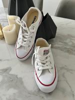 Chucks Converse Gr.36 ungetragen / nagelneu Sachsen-Anhalt - Halle Vorschau