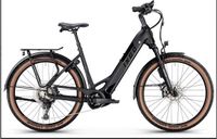 E Bike Bosch IxGo MT-E Five CX 2024 NEU ABS absenkbare Sattel Rheinland-Pfalz - Kaiserslautern Vorschau