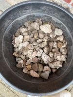 Steine klein zu verschenken Nordrhein-Westfalen - Vreden Vorschau
