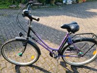 Damenfahrrad 26er von Pegasus Brandenburg - Annahütte Vorschau