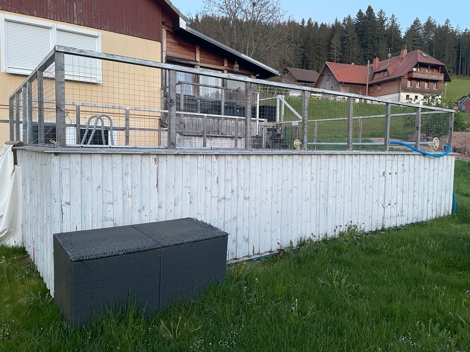 Garten Pool Swimmingpool in Eisenbach (Hochschwarzwald)