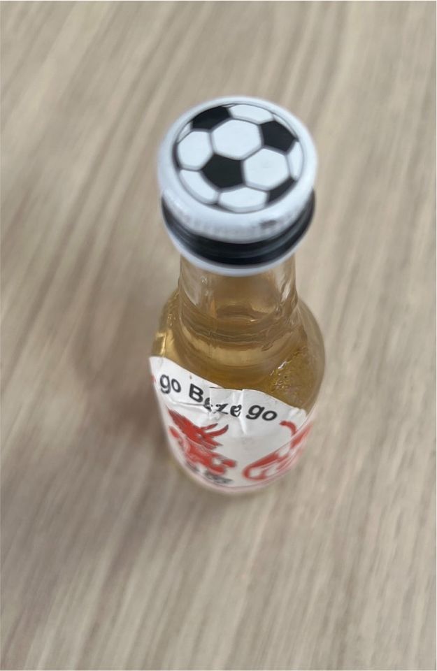 Orig. Merchandising „go Beze go“ 1. FCK Bömble Fanartikel Sammeln in Frankenthal (Pfalz)