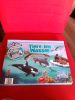 Tiere im Wasser Pop - up - Buch Nordrhein-Westfalen - Meschede Vorschau