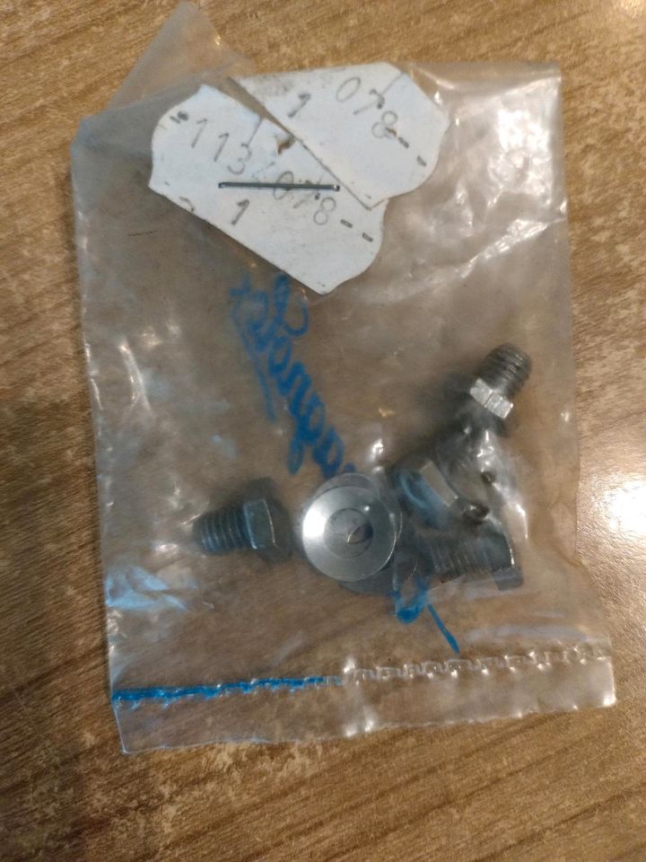 Campagnolo Superleggeri Pedal Korb Schrauben kurze Ausf. 70-80 er in Neuss