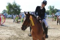 Reitbeteiligung (Pferd sucht Reiter) bis max 60kg Bayern - Kolbermoor Vorschau