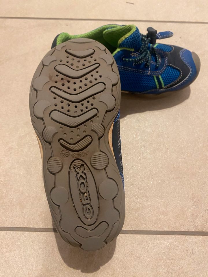 Kinder-Trekking-Schuhe von Geox in Friedrichsdorf