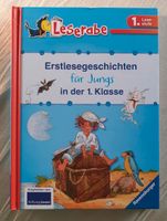 Erstlesegeschichten für Jungs in der 1. Klasse Bayern - Aschaffenburg Vorschau