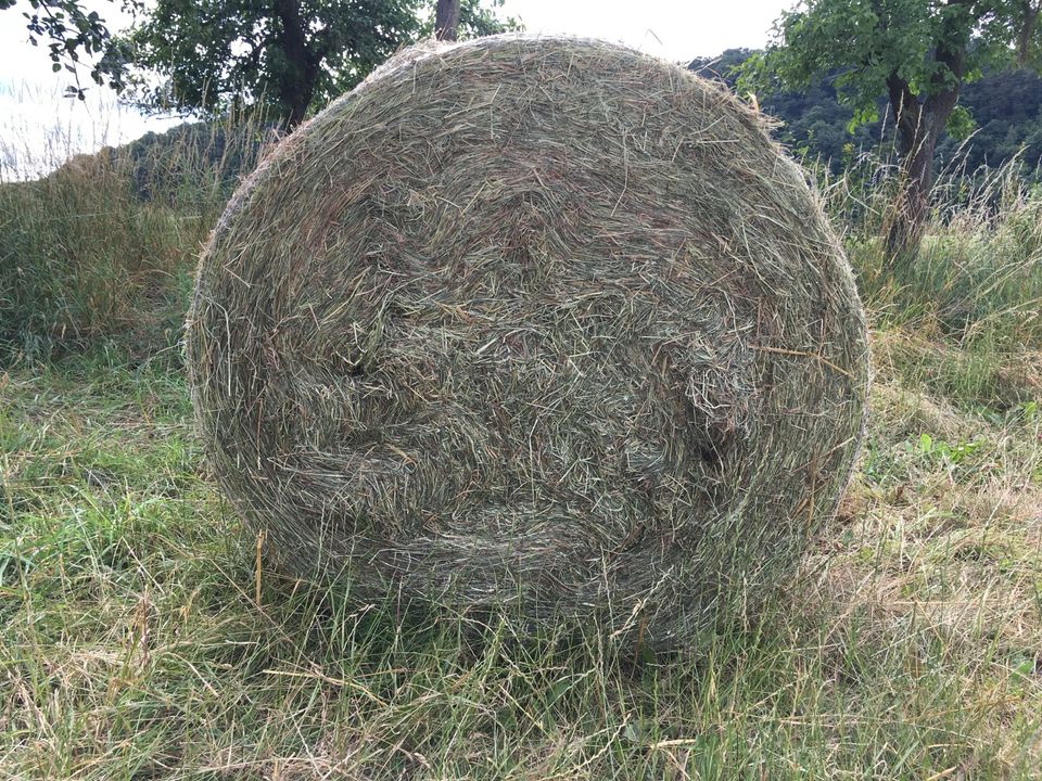 Heu Rundballen in Haunetal