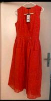 Damenkleid  Neu Sommer kleid von More&More Gr 38 Neuhausen-Nymphenburg - Neuhausen Vorschau