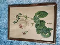 Retro Bild, Rose, Vintage, Kunst, shabby chic, Wandbild, Deko Nordrhein-Westfalen - Dorsten Vorschau