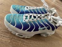 Nike Air Max Plus Tn - Bleached Aqua - Damen 38,5 - 70€ Hessen - Solms Vorschau