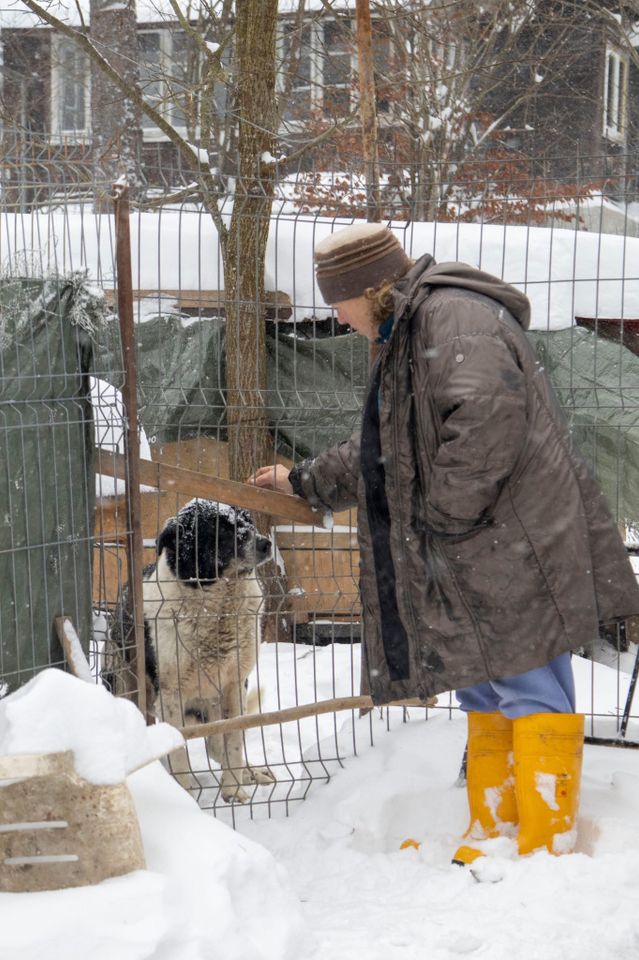 Findus, ein älterer Herr sucht sein Glück. in Hattingen