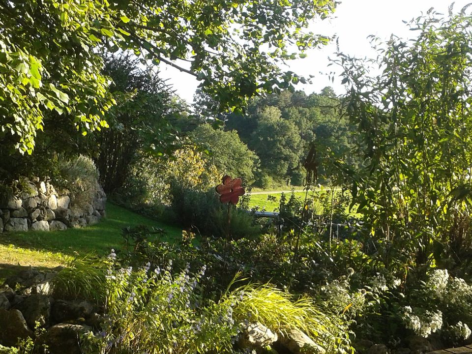 Traumhaus im Garten Eden mit zusätzlichem Baugrundstück in Rohrbach