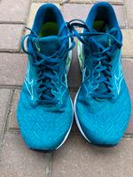 Laufschuhe Mizuno Wave Inspire 18 Größe 43 Sachsen-Anhalt - Quedlinburg OT Gernrode Vorschau