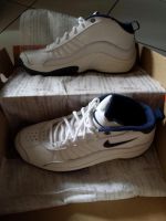 Nike Flight Focus Sneakers Basketball Sport Schuhe neu &unbenutzt Berlin - Tempelhof Vorschau