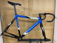 Pinarello Prince SL Rh 53cm Rennrahmen Saarland - Perl Vorschau