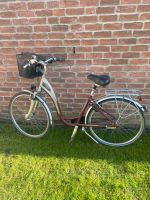 Fahrrad Hercules Comfort Wave x  Tiefeinsteiger Nordrhein-Westfalen - Recklinghausen Vorschau