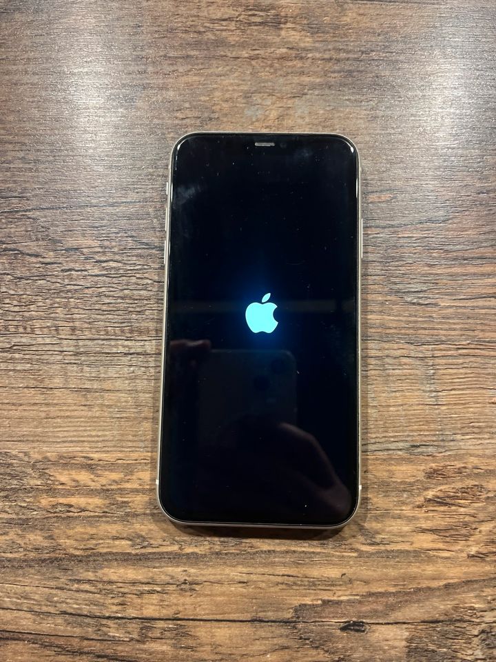 iPhone 11 weiß in Schalksmühle