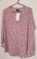 NEUE Damen Bluse Ernstings family Gina Benotti 40/42 rosa Punkte Kreis Pinneberg - Wedel Vorschau