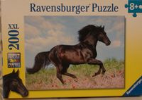 Puzzle mit Schwarzem Hengst Bayern - Stadtbergen Vorschau