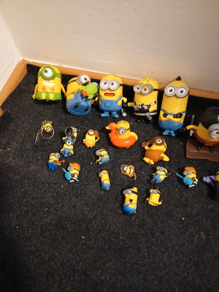 Minion Sammlung in Burghausen