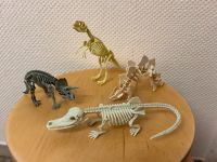 Dino-Skelette Nordrhein-Westfalen - Espelkamp Vorschau