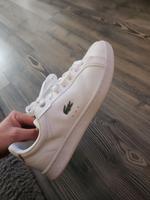 Lacoste Damenschuhe Nordrhein-Westfalen - Paderborn Vorschau