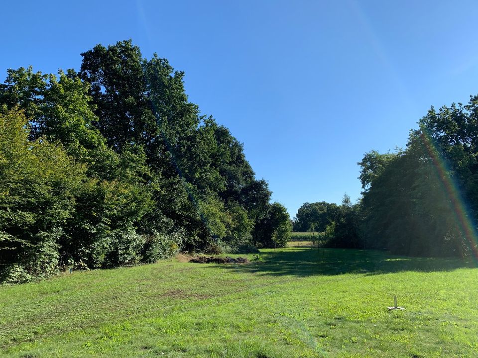 Traumhaus und zusätzliches Baugrundstück in Worpswede in Worpswede