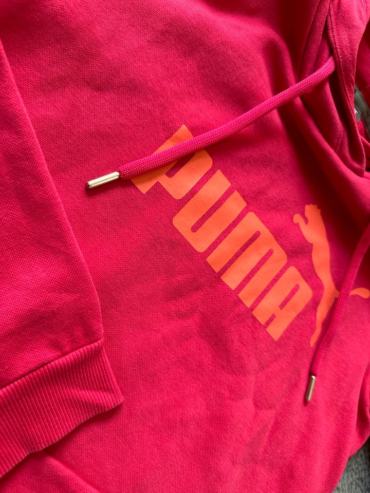 Puma Hoodie Damen Gr. 36 wie NEU in Burghaun