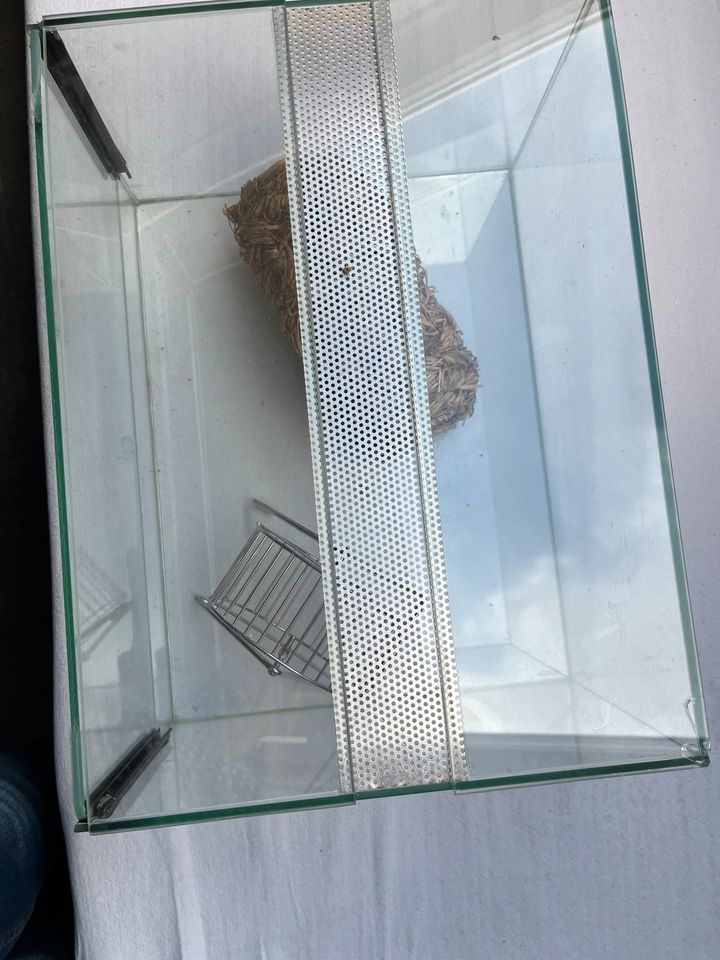 Glaskäfig, belüftet für 2 Mäuse oder ein anderes Mini- Tier in Hausach