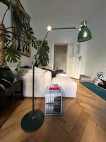Ikea Aröd grüne Stehlampe Leselampe Berlin - Schöneberg Vorschau